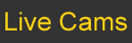 live web cams